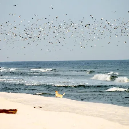 Apartament Meeresrauschen Heidi