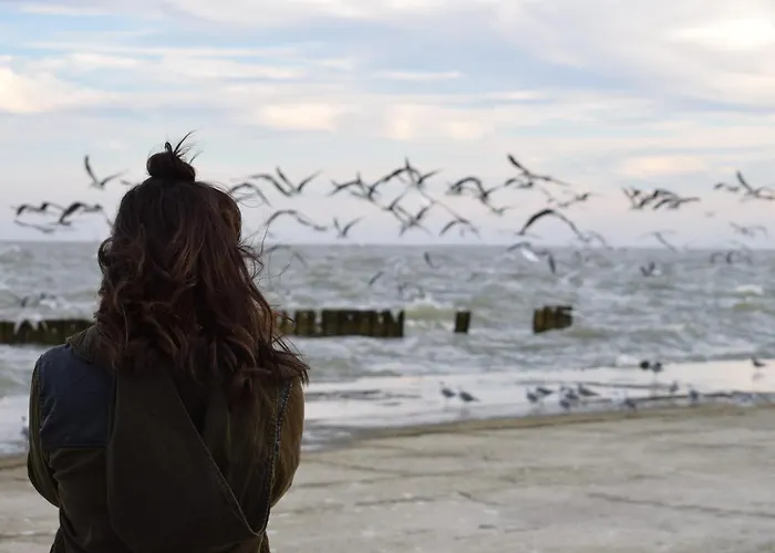 Meeresrauschen Heidi * بيلزيرهاكين